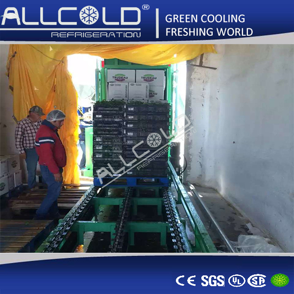 Vegetable Vacuum Cooling System