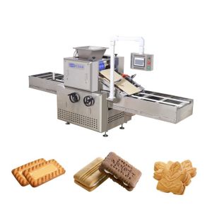 Tray Type Soft Biscuit Biscuit Rotary Moulder Machine With Rotary Oven