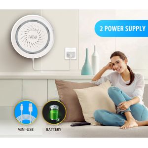 Sound And Light Alarm