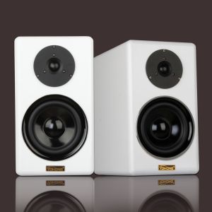 40W Passive Bluetooth Two Way Speaker Wireless Multipurpose