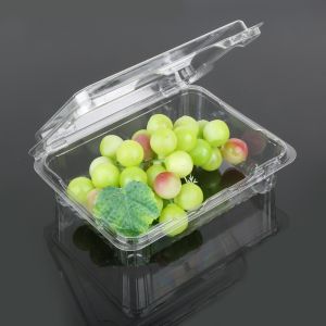 China Rectangle Small 18.5*14.5*6cm Disposable Plastic Food Box on sale