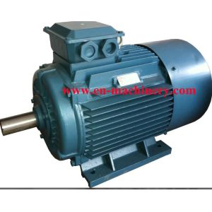 AC/DC Synchronous Generator Motor for Crane(CE, TUV, SGS) INVERTER DUTY MOTOR