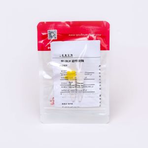 M-MLV Reverse Transcriptase PCR Reagents R1042