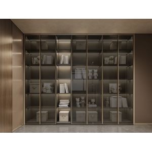White Apricot Finish Stainless Steel Walk-In Closet With Dual-Line Design