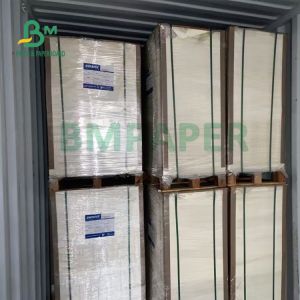 230gsm+15gsm Durability PE Coated Cup Stock Paper For Soup Bowl 560mm X 700mm