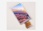 TFT 2.7 Inch Lcd Display 240x320 IPS TFT Lcd Module Lcd OEM TFT Factory