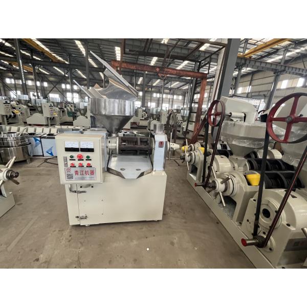 Small Capacity Oil Making Machine Automatic Electrical Cabinet Control Cold Press