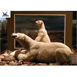 Life Size Artificial Animatronic Animals Model Power 50/60 Hertz For Water Park