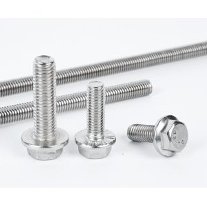 M6 M18 Stainless Steel Plain Metal Hexagon Flange Bolt SS304 SS316 A2 A4 DIN6921