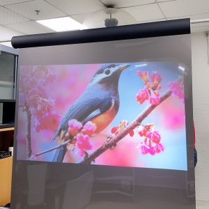 1.52x5 Meter transparent projection film , Holographic Rear Projection screen