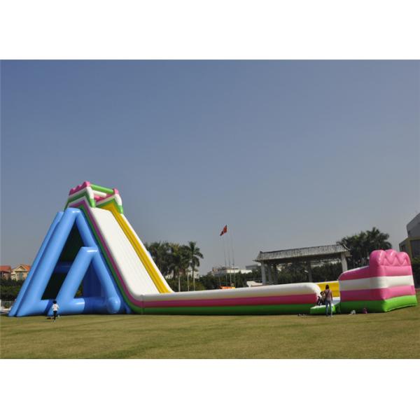 Customized Inflatable Giant Slide Recreational Hippo Animal Theme Design With