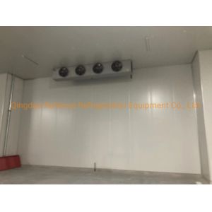 Tomato Cold Room Storage Line with Air Cooling Compressor and Customization PU