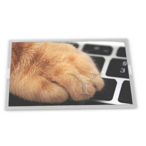 ODM TFT LCD Display Modules 1024*768 Resolution LCD TFT Display Panel 15 Inch