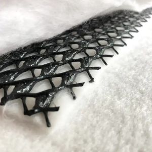 Chinese Design Style High Drainage HDPE 3D Geonet Geocomposite Drainage Network