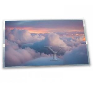 Wholesale 8 Inch A-Si TFT-LCD TV080WUM-NX2 Quality Suppliers Rectangular Screen Lcd Module Display from china suppliers