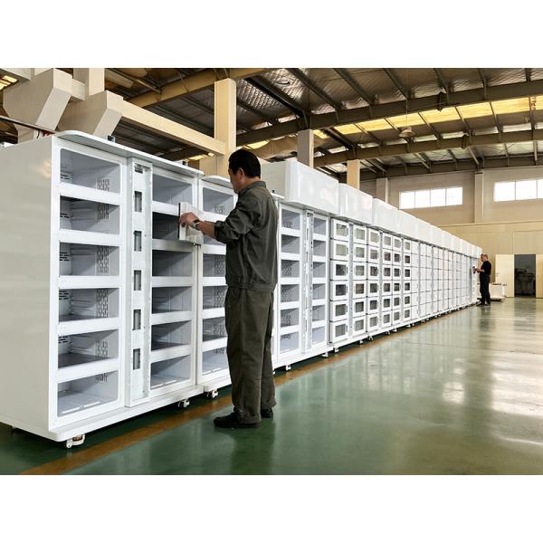 Winnsen Smart Android Refrigerator Parcel Locker System With Wifi And Remote Control