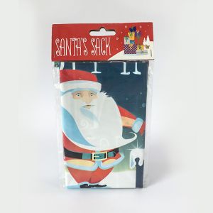 Custom LDPE 65*80cm Plastic Gift Wrap Bags With Drawstring