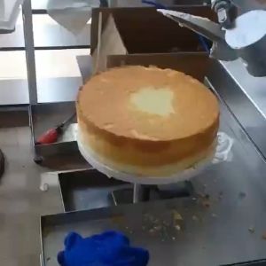 Patisserie Cream Layer Cake Machine For Snack Food Production Baking Equipment