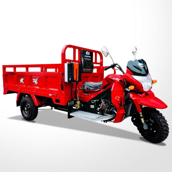800W DAYANG DY-R1 RUITENG 250cc Cargo Tricycle for Heavy Duty CCC Three Wheels Motorcycle