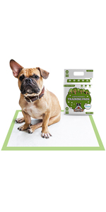 Pogi's training pads