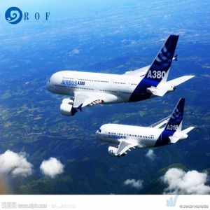 Wholesale Shanghai To Toronto Canada Speedy DDP Air Shipping from china suppliers