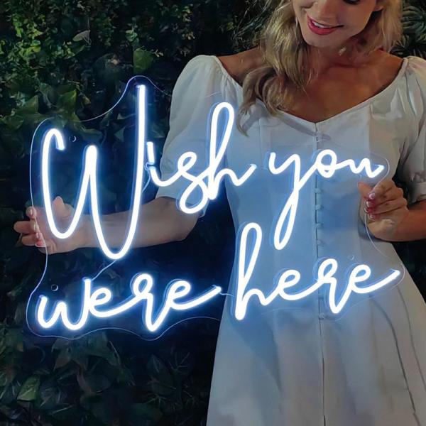 Acrylic neon Flex 12V RGB Waterproof LED Neon Sign Light for Holiday Party