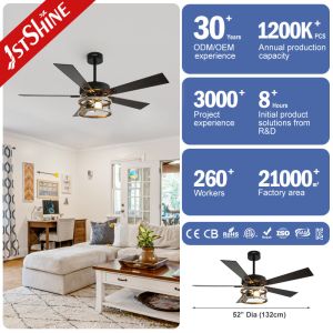 CB SAA ETL 5 Blades Classic Ceiling Fan With Light For Living Room