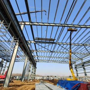Quick Build Storage Steel Structure Warehouse Construction Building