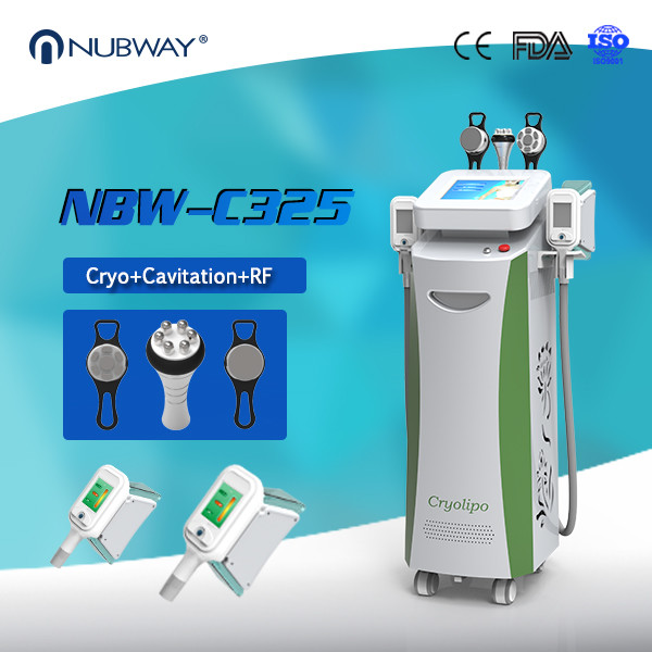 5 Handles Cool Tech Cryolipolysis Cavitation RF Body Slimming Machine / Cryolipo