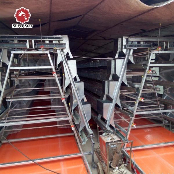 Automatic Layer And Broiler 3 Tiers 4 Tiers Poultry Cages For Layer Chickens