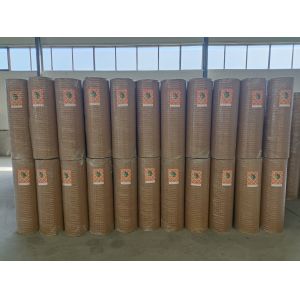 Finest 10 Gauge 2x2 Stainless Steel Galvanized Welded Wire Mesh Cage for Small