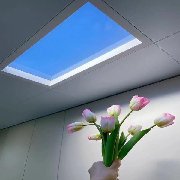 SkyRay LED Skylight Lamp for Room Transformation, Natural Sunlight Effect, Ideal