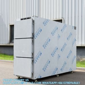 3 Drawers Corpse Freezer Bodies Mortuary Refrigerators Morgue Refrigerator With