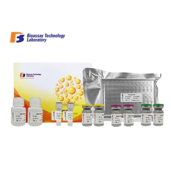 Quality Customized Canine TK1 Enzyme Linked Immunosorbent Assay Kit With Strong Sensitivity for sale