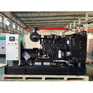 Cummins 200KW Diesel Generator Set with Silent Canopy and Smartgen HGM6110