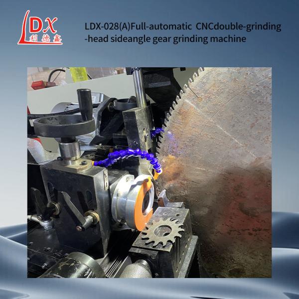 Quality Full CNC Saw Blade Double Grinding Head Side Angle Grinding Machine LDX-028A for sale