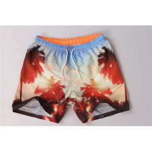 Contrast Color Waistband Hawaiian Print Swim Trunks With Mesh Brief