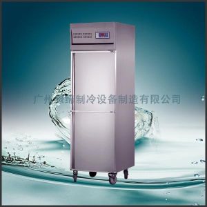 500L Commercial Small Upright Frost Free Freezer One Layer