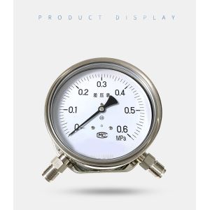 Customized ODM Support IP54 Digital Differential Pressure Gauge for Accurate