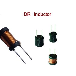 DR10 * 10 Radial Leaded Inductors 3 Pins 2 Winding UL - Polyolefin Shrinking