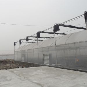 Inner Shading System Side Ventilation Multi Span Greenhouse Automatic Control