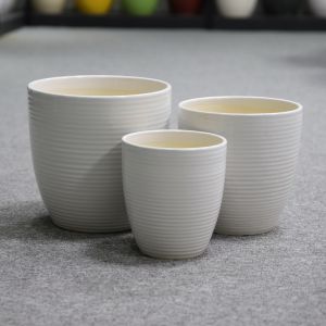 Stunning Plant Display With Our Ceramic Pots Various Sizes Available Ceramic