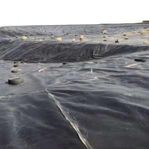 1mm HDPE Geomembrane Roll for Fish Farming 1m-8m Width Cross Categories