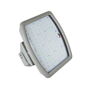 IEC explosion-proof LED light fittings