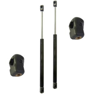 904528093R Gas Spring Boot