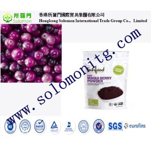 Top Quality 100% Pure Maqui Berry Extract--Aristotelia chilensis