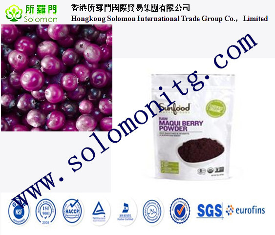 Top Quality 100% Pure Maqui Berry Extract--Aristotelia chilensis