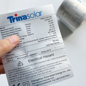 Printing Adhesive PET Barcode Label Matte Silver Thermal Transparent Polyester