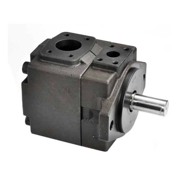 Wholesale Hydraulic Oil Pump YUKEN PV2R13-12-76-F-RAAA-41 PV2R13-28-136-F-RAAA-41 PV2R13-14-116-F-RAAA-41 Double Vane Pu