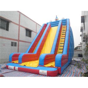 Giant Inflatable Clown Slide (CYSL-14)